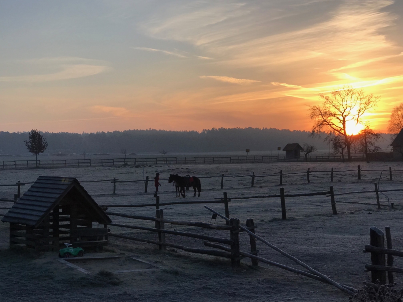 Gut durch den Winter mit Vitamin D Praxis für Ernährung